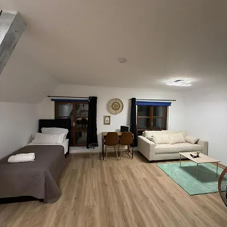 Spacious 80 M2 I 3 I Up To 8 Guests I Near Train Station Steyr