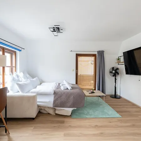 Appartement Spacious 80 M2 I 3 I Up To 8 Guests I Near Train Station Steyr